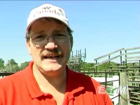 RCMP Musical Ride Exeter 2008 – Segment 1